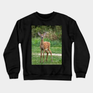 Doe Crewneck Sweatshirt